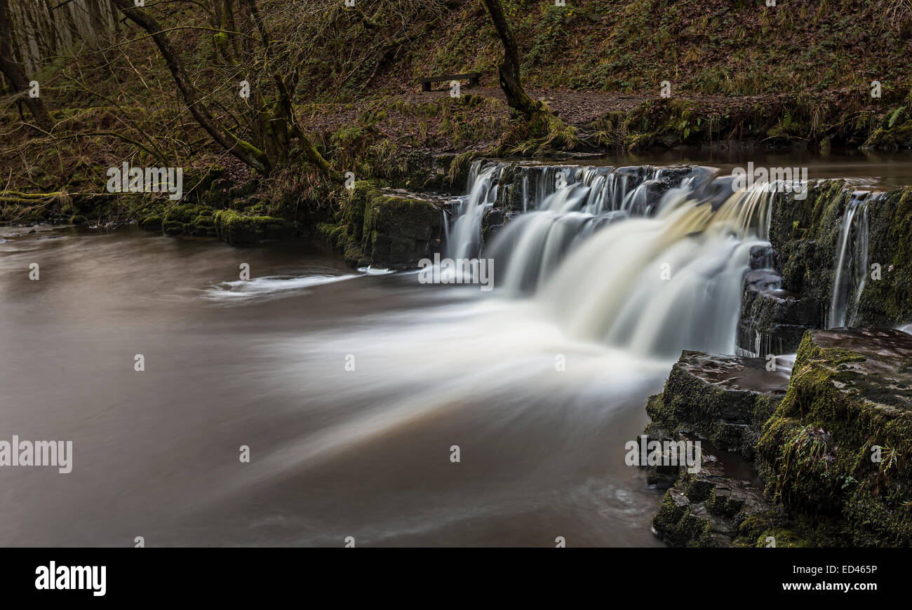 Kaskade an den Wasserfällen gehen, Pontneddfechan, Wales, UK Stockfoto