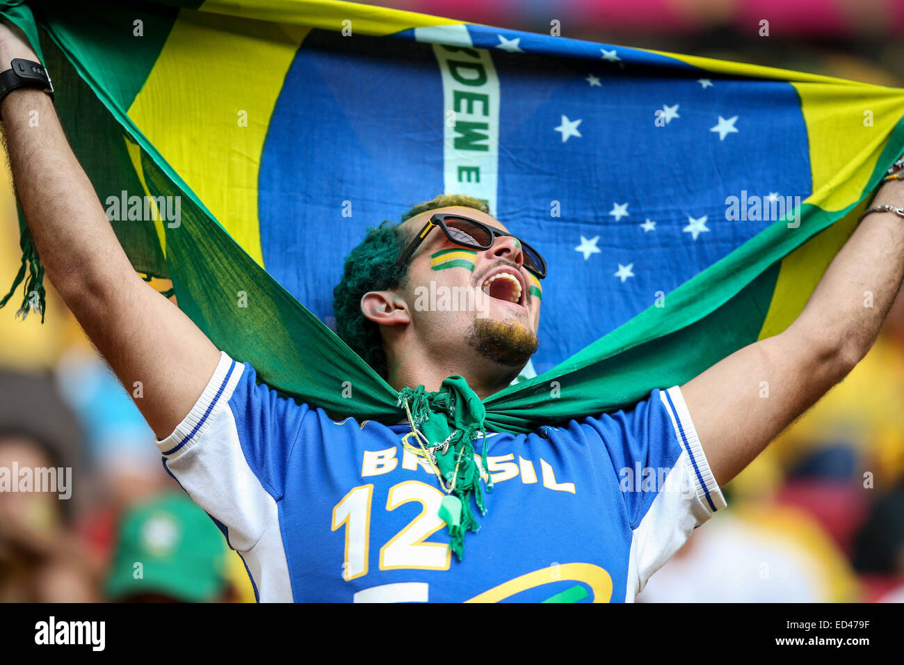 2014 FIFA World Cup - Kamerun V Brasilien - Atmosphäre - Tag 12 wo: Brasilia, DF, Brasilien bei: 23. Juni 2014 Stockfoto