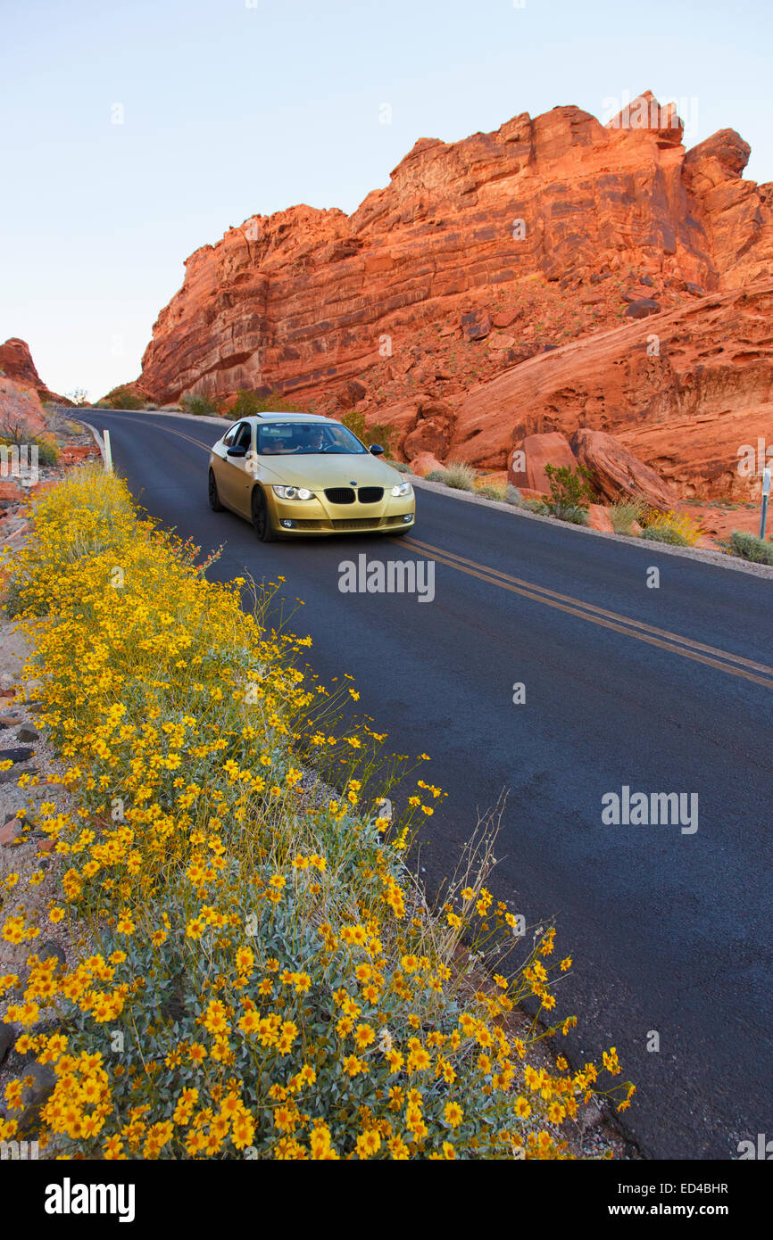 Straße durch Valley of Fire State Park, in der Nähe von Las Vegas, Nevada. Stockfoto