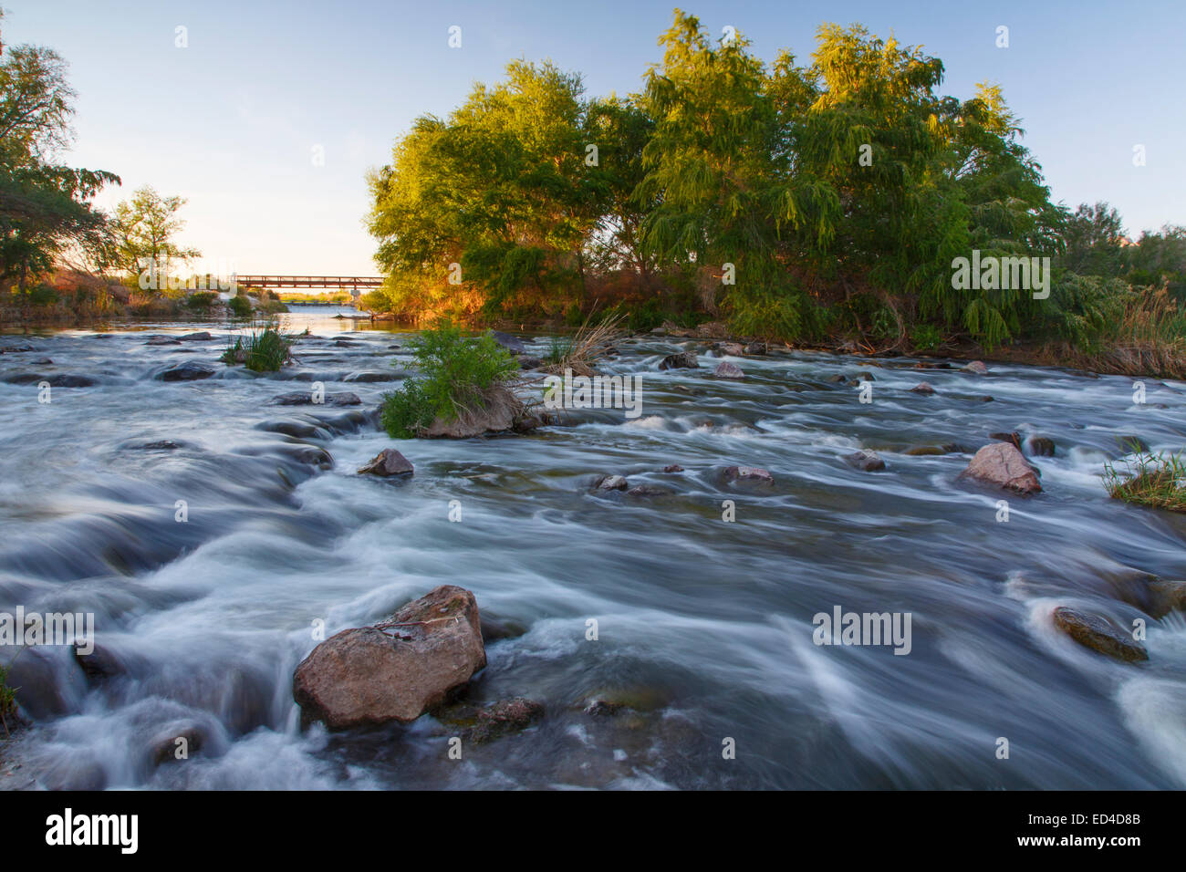 Clark County Wetlands Park Nature Preserve und Nature Center in der Nähe von Las Vegas, Nevada. Stockfoto