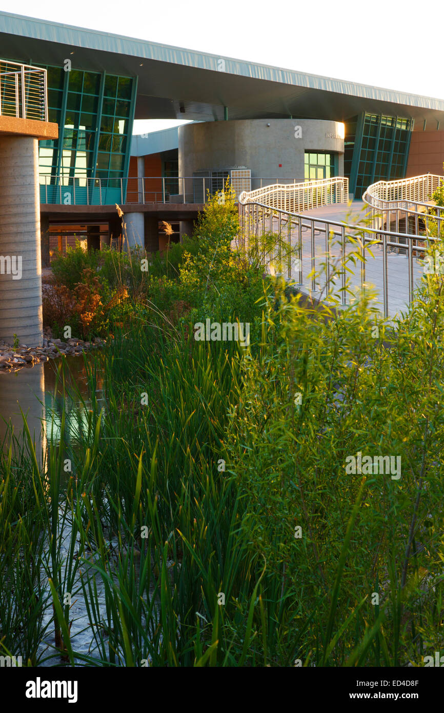 Clark County Wetlands Park Nature Preserve und Nature Center in der Nähe von Las Vegas, Nevada. Stockfoto