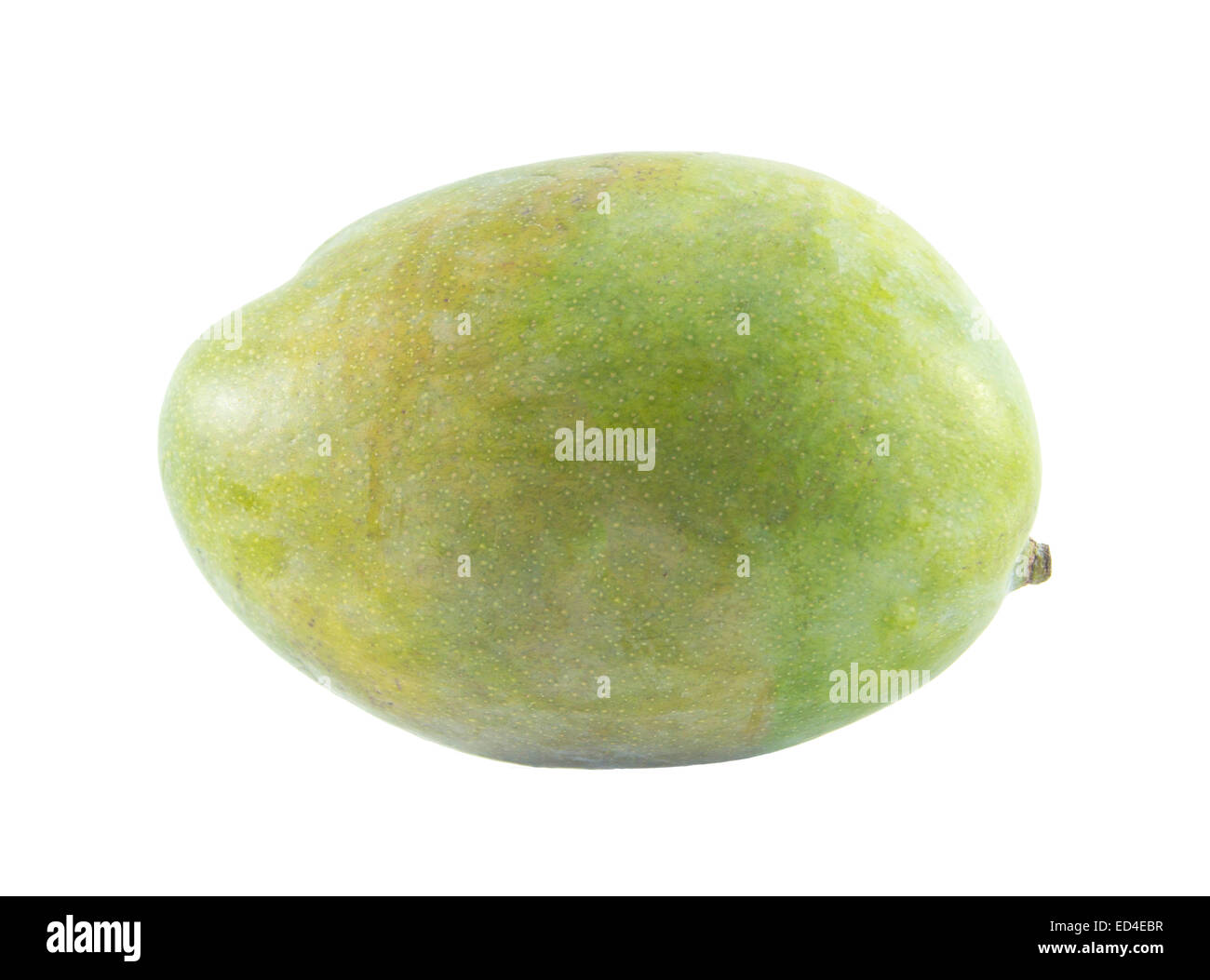 Mango-Frucht isoliert auf weißem Hintergrund. Clipping-Pfad Stockfoto