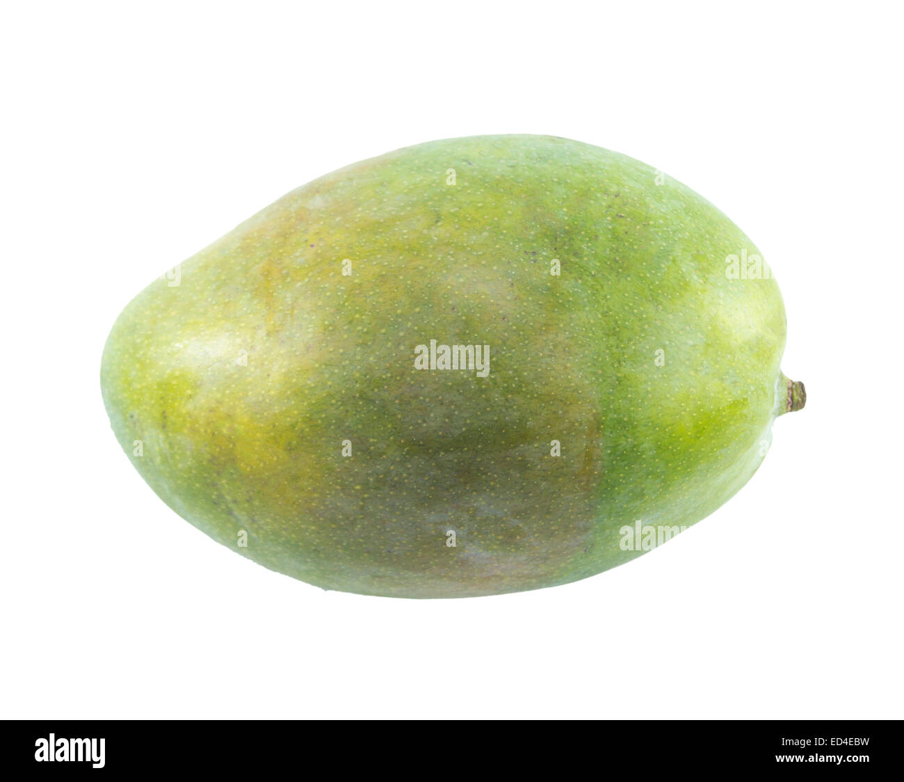 Mango-Frucht isoliert auf weißem Hintergrund. Clipping-Pfad Stockfoto