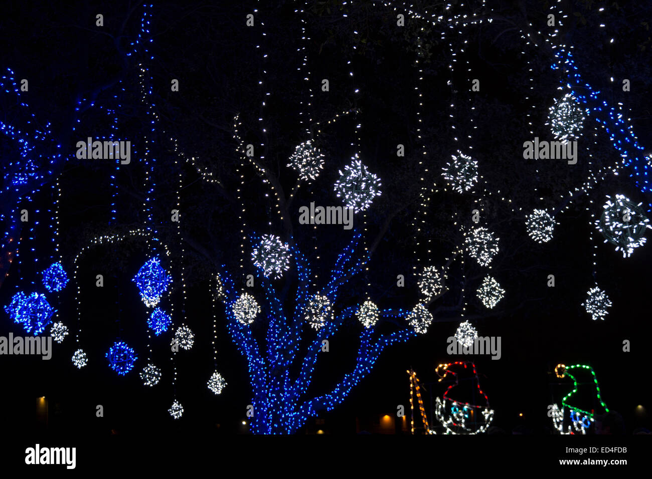 Train Christmas Lights Stockfotos Train Christmas Lights Bilder