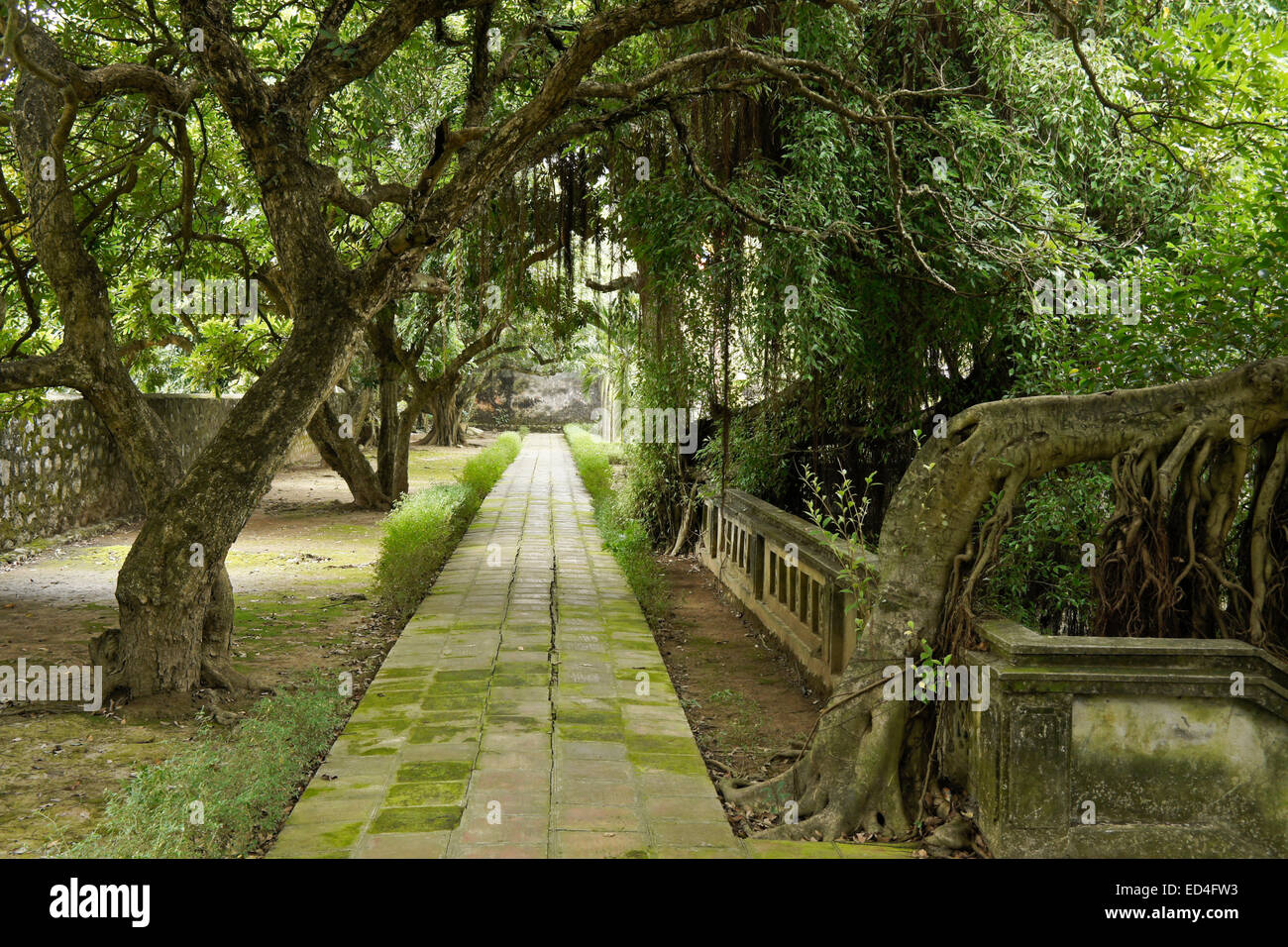 Ruhiger Garten in Dinh Tien Hoang Tempel, Hoa Lu, Vietnam Stockfoto