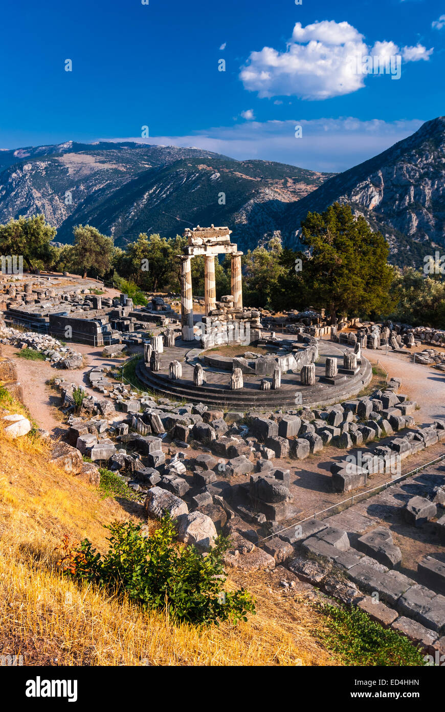 Delphi, Griechenland. Tholos Tempel, Heiligtum der Athena Pronaia, 360 v. Chr. gebaut. Antiken griechischen Zivilisation. Stockfoto