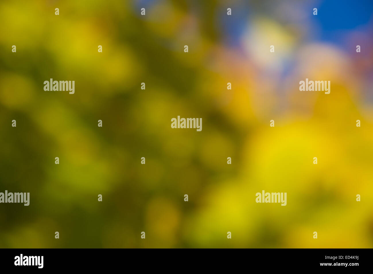 Natur-Hintergrund mit grün, gelb, Orange und blau Stockfoto