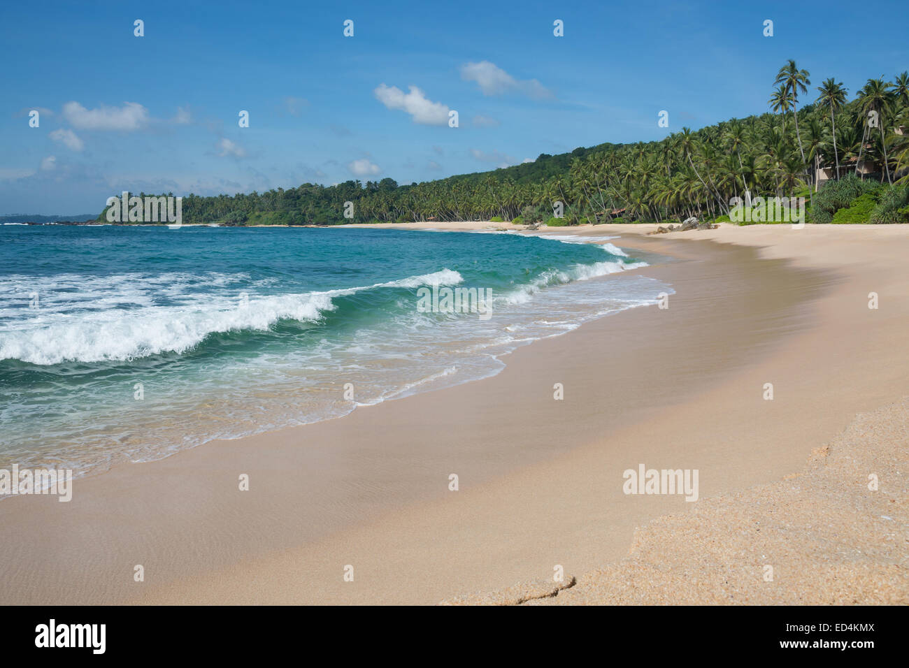 Paradies-Sandstrand mit Kokospalmen, goldenen Sand und Smaragd grünes Wasser am Rande des Indischen Ozeans, Tangalle, Sri Lanka Stockfoto