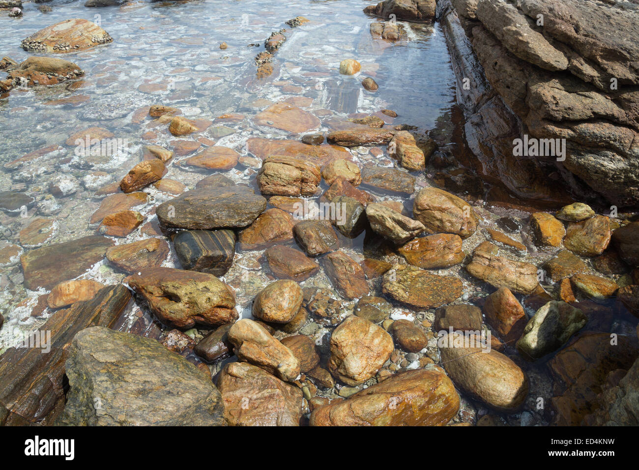 Metamorphen Gesteinen in seichtem Wasser Nahaufnahme, südlichen Provinz, Sri Lanka, Asien. Stockfoto