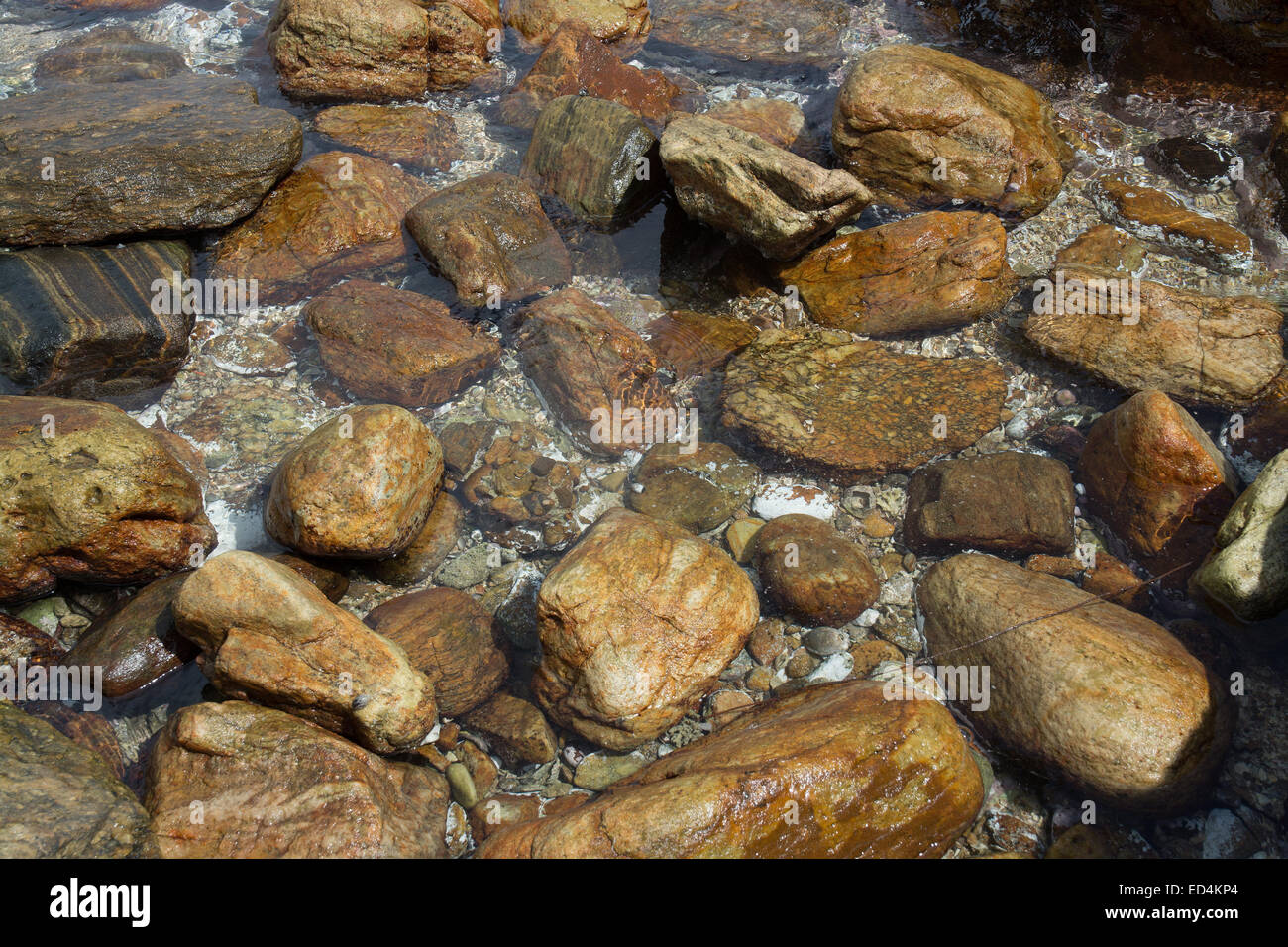 Metamorphen Gesteinen in seichtem Wasser Nahaufnahme, südlichen Provinz, Sri Lanka, Asien. Stockfoto