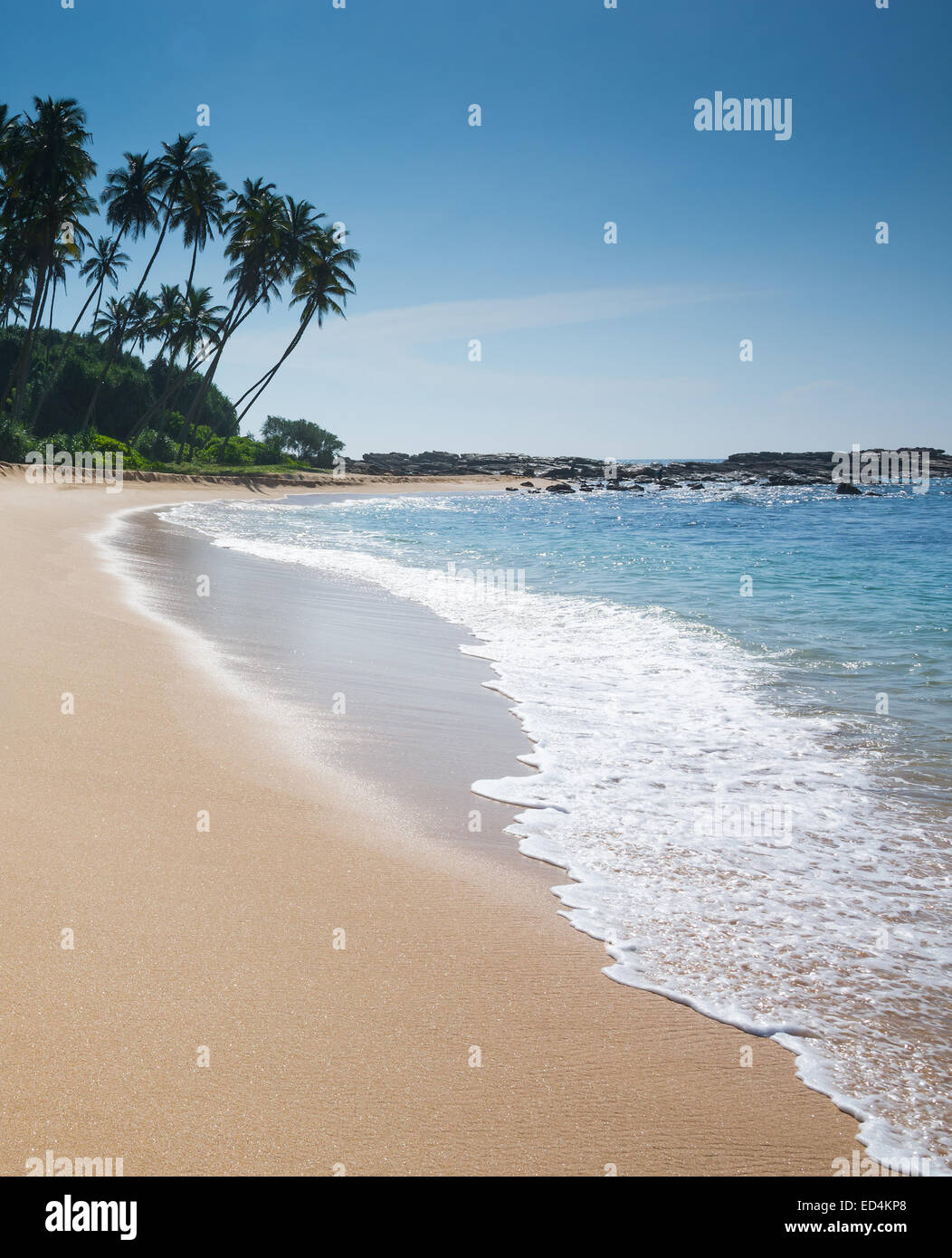 Paradies-Strand mit Kokospalmen und Fußspuren im goldenen Sand, Tangalle, südlichen Provinz, Sri Lanka, Asien. Stockfoto
