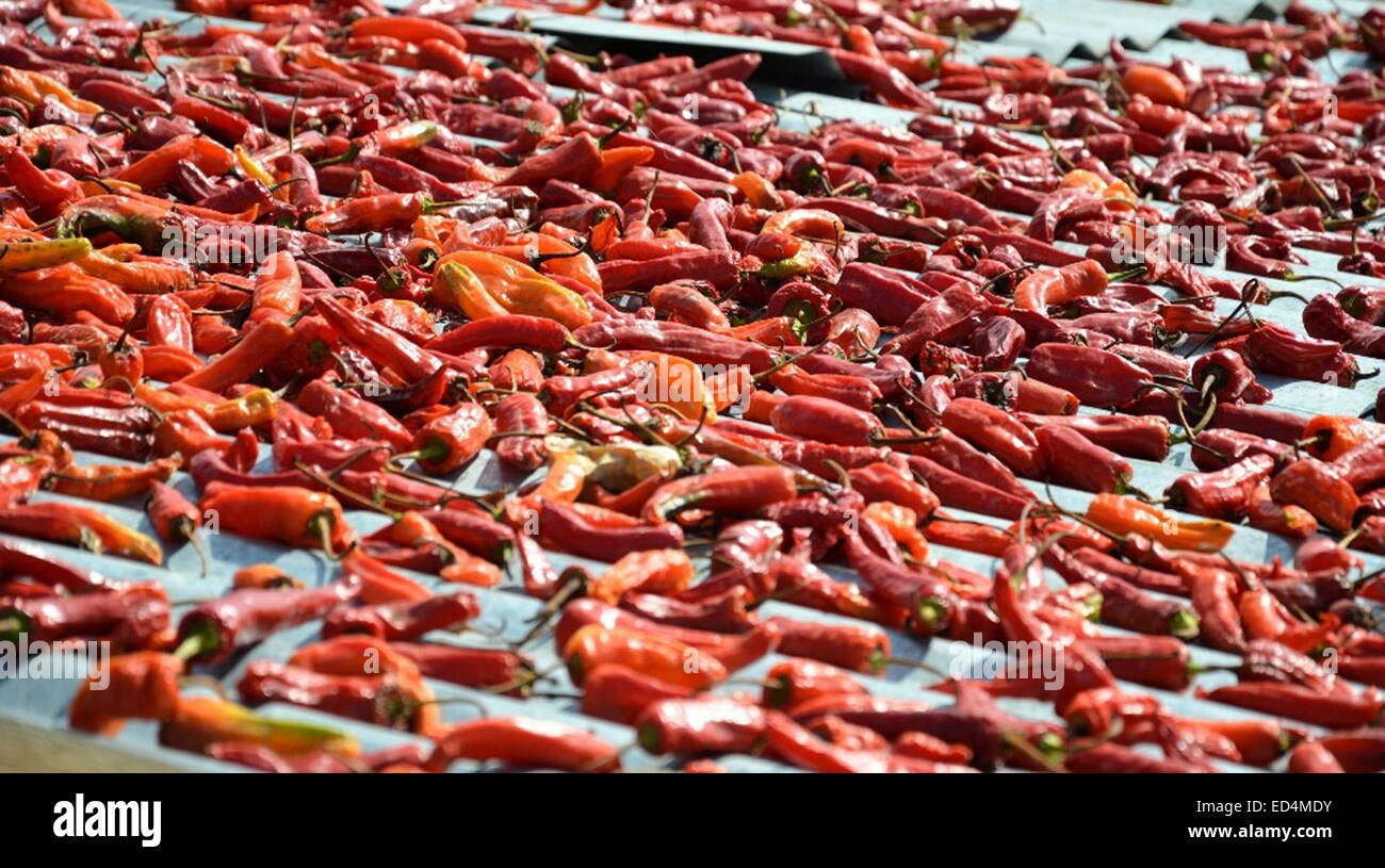 Getrocknete Chili auf dem Dach - Bhutan Stockfoto