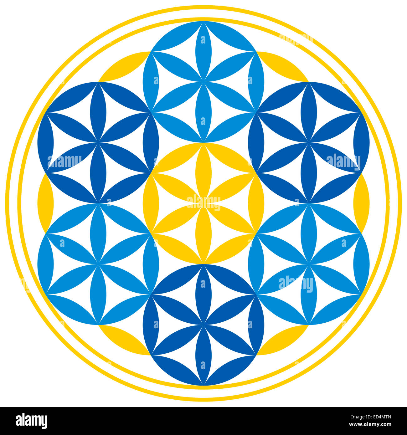 Blume des Lebens mit Kugeln. Sieben Sphären mit Blütenblättern finden Sie in der Blume des Lebens, ein geistiges Symbol der Heiligen Geometrie Stockfoto