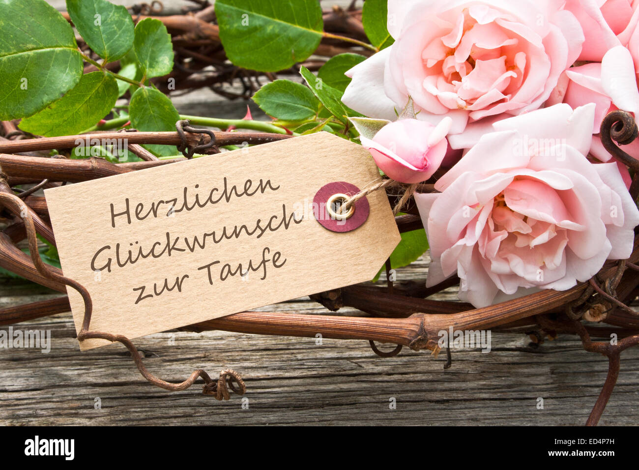 Deutschsprachige Grußkarte zur Taufe mit rosa Rosen Stockfoto