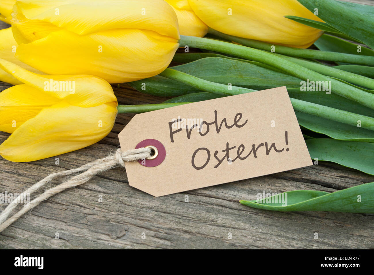 Ostern Grußkarte mit gelben Tulpen Stockfoto