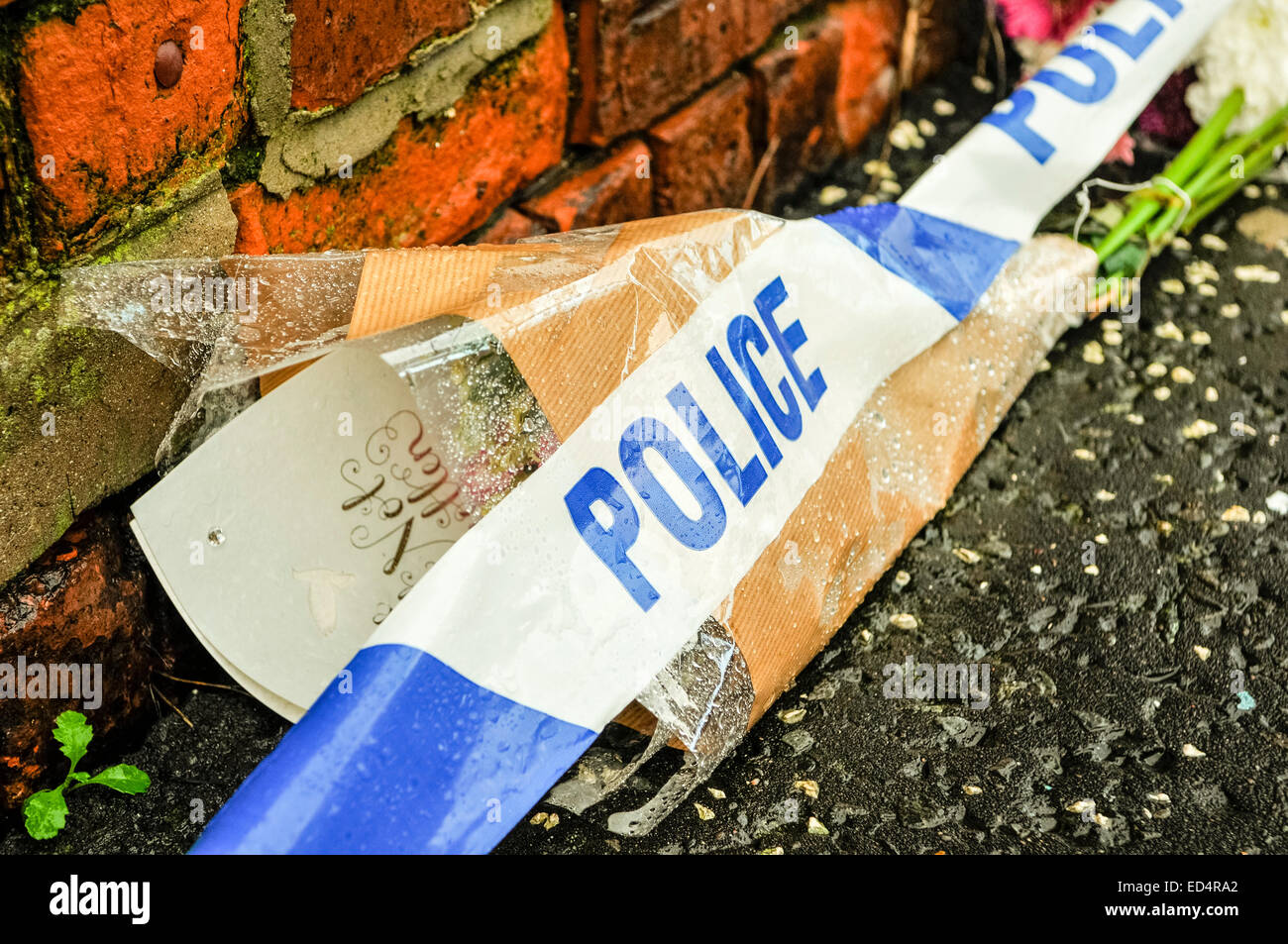 Belfast, Nordirland. 27. Dezember 2014 - Polizei Klebeband liegt über Blumen außerhalb eines Hauses, wo ein Mord Credit stattgefunden: Stephen Barnes/Alamy Live News Stockfoto