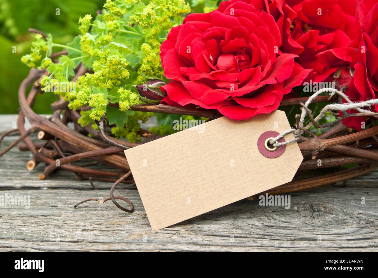 Grußkarte mit roten Rosen und Kopierraum Stockfoto