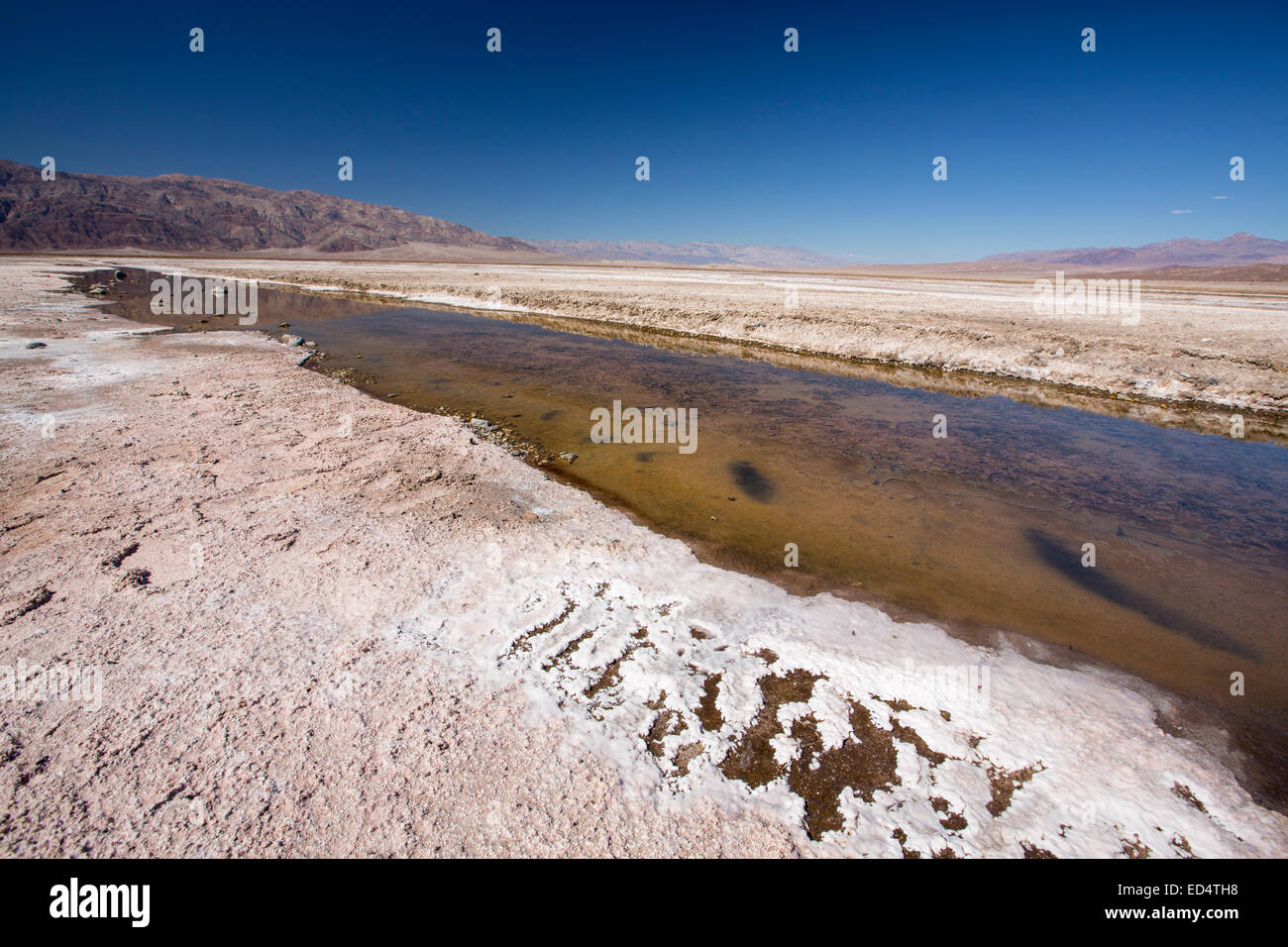 Salzige Bäche im Death Valley, die den niedrigsten, heißesten und trockensten Ort in den USA, mit einer durchschnittlichen jährlichen Niederschlagsmenge von etwa 2 Zoll einige Jahre ist, die es nicht überhaupt keinen Regen erhält. Stockfoto