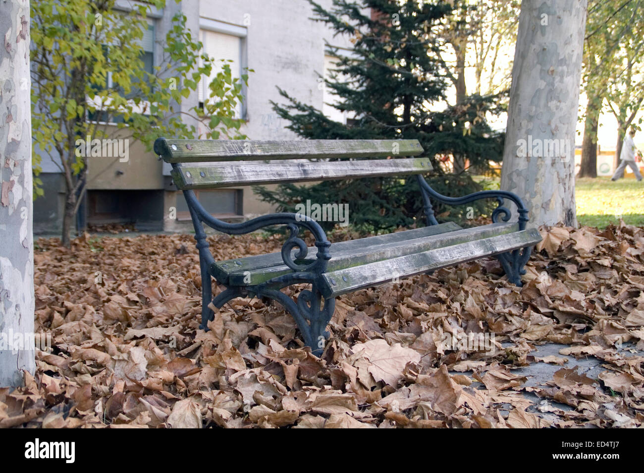 Holzbank mit Herbst Laub bedeckt. Bank vor dem Wohnhaus. Stockfoto
