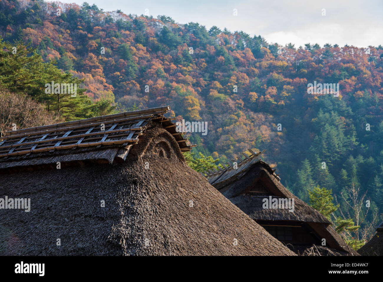 Traditionelle japanische reetgedeckten Haus, Oishi Petit Pension Dorf, Kawaguchiko, Japan. Stockfoto