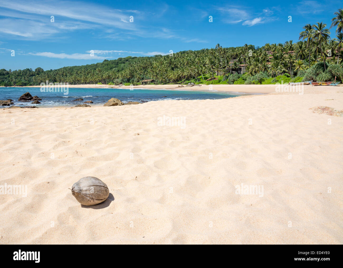 Strand mit Kokosnuss. Paradies-Strand mit weißem Sand und Kokospalmen. Aman Strand, Tangalle, südlichen Provinz, Sri Lanka, Asien. Stockfoto