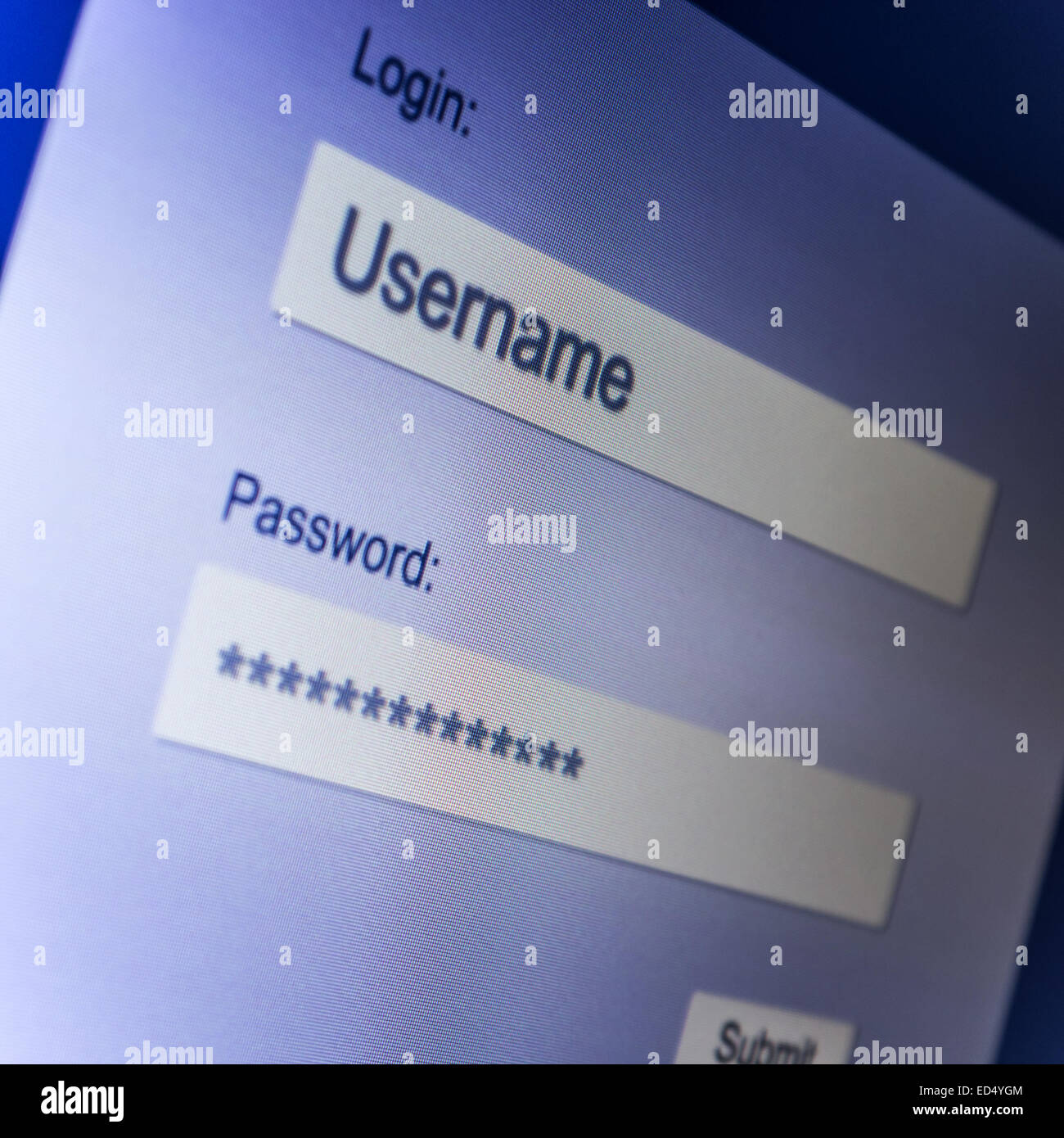 Internet-Login auf led Bildschirm Stockfoto