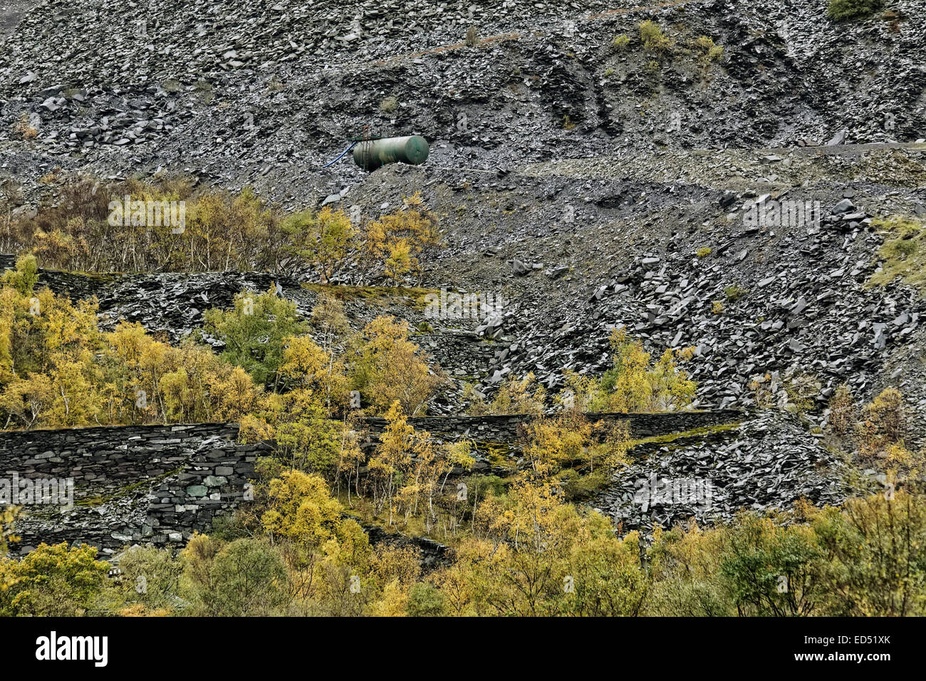 Bergematerial und Bänken aus Abfall Stein im Penrhyn Schiefer Steinbruch wird zurückgefordert durch Natur, Bethesda, North Wales, UK Stockfoto