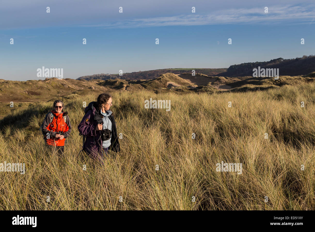 Zwei Frauen gehen durch Dünengebieten Grass auf den festen Dünen von Merthyr Mawr Natur reserve, Wales, UK Stockfoto