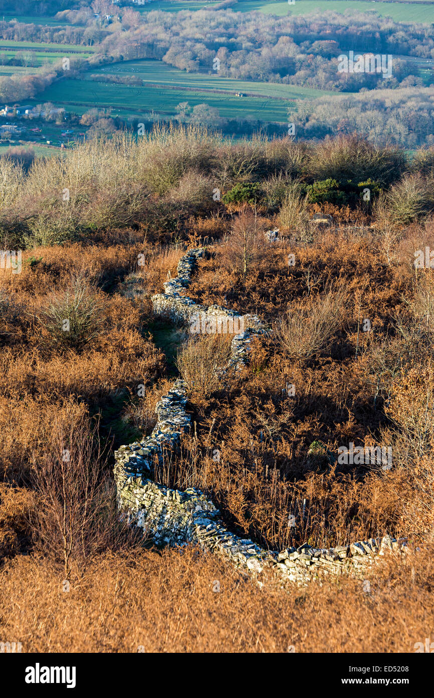 Trockenmauer auf Moorland, Alt yr Esgair, South Wales, UK Stockfoto