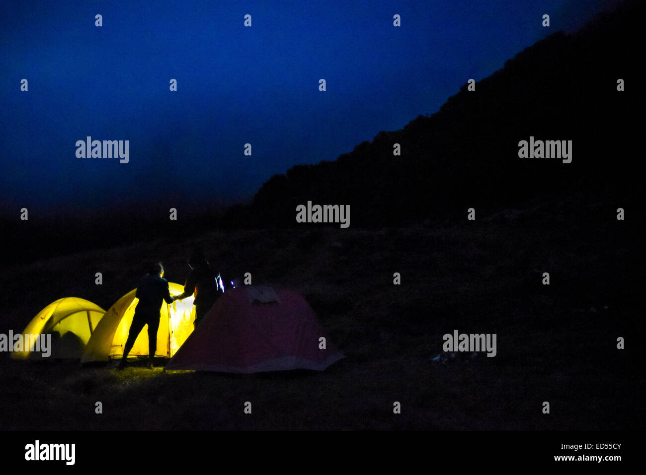 Bergsteiger bauen ihr Camp nachts auf der Suryakencana Wiese im Gede-Pangrango-Nationalpark. Stockfoto