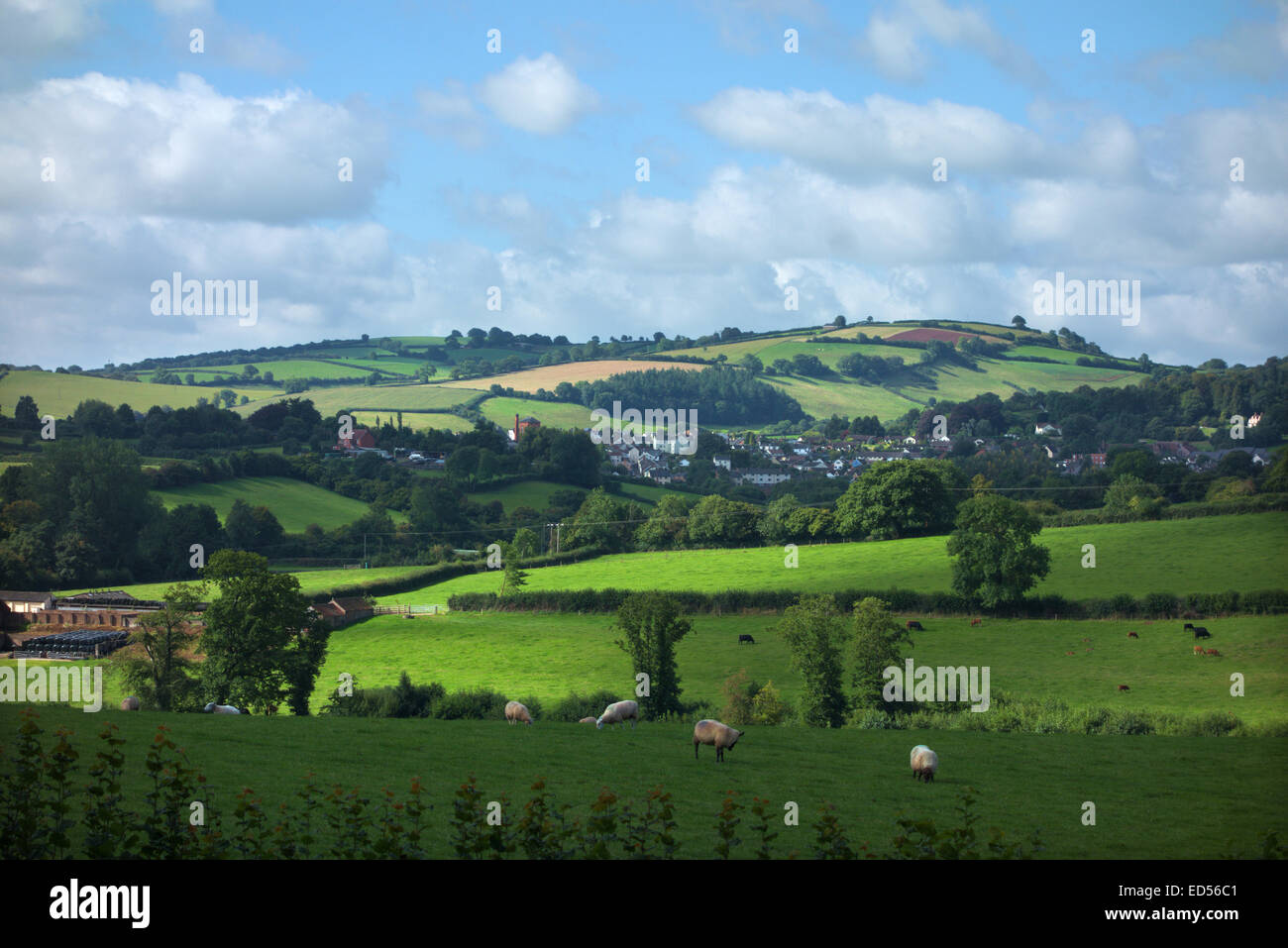 Wiveliscombe eingebettet in die Brendon Hügel, Somerset, Großbritannien Stockfoto