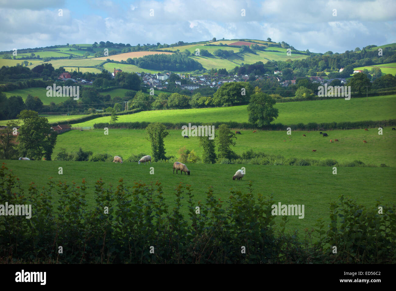 Wiveliscombe eingebettet in die Brendon Hügel, Somerset, Großbritannien Stockfoto