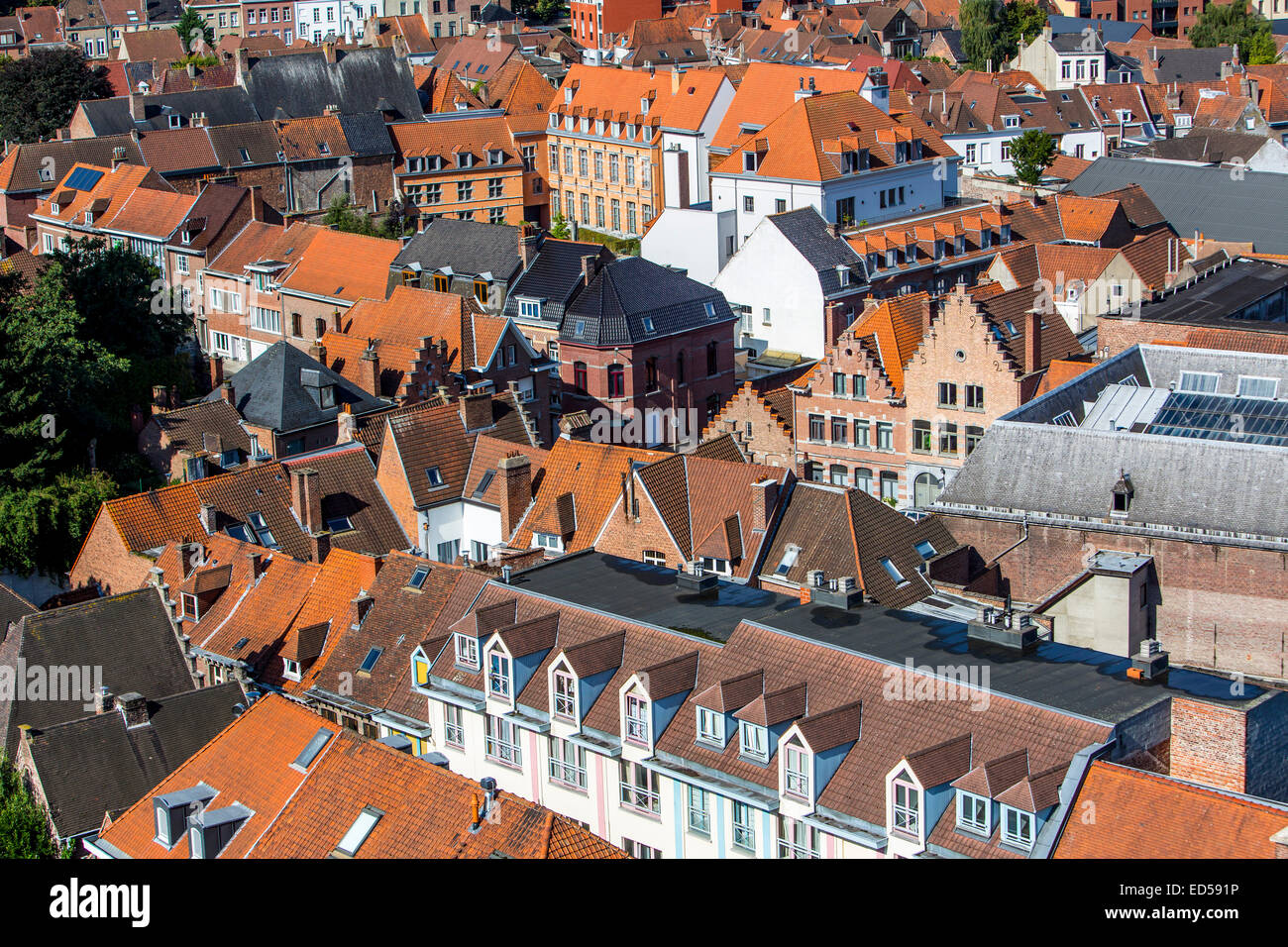 Blick über die Dächer der Altstadt, Stockfoto