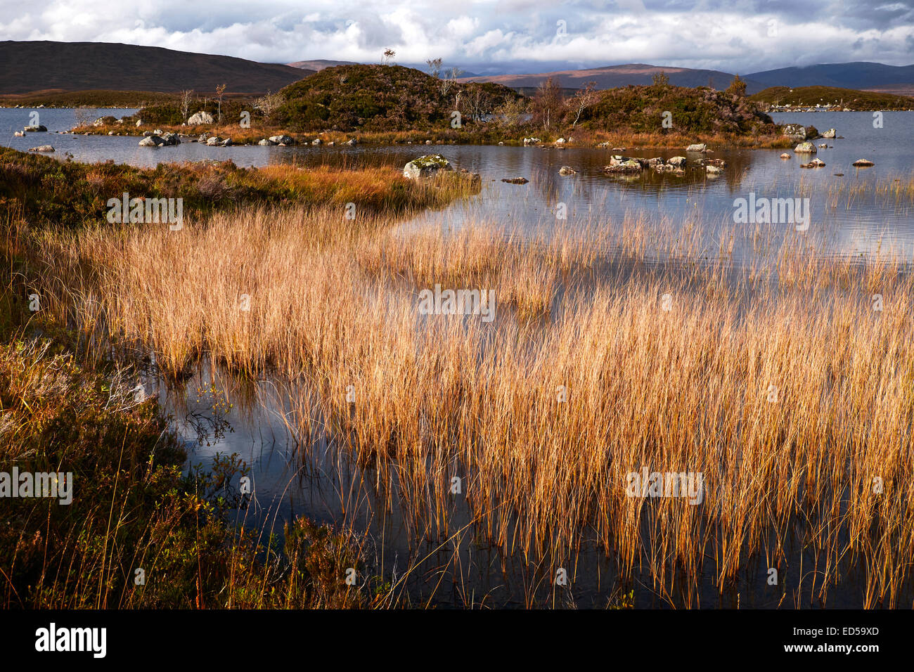 Rannoch Moor in der Nähe von Glen Coe, Schottland Stockfoto