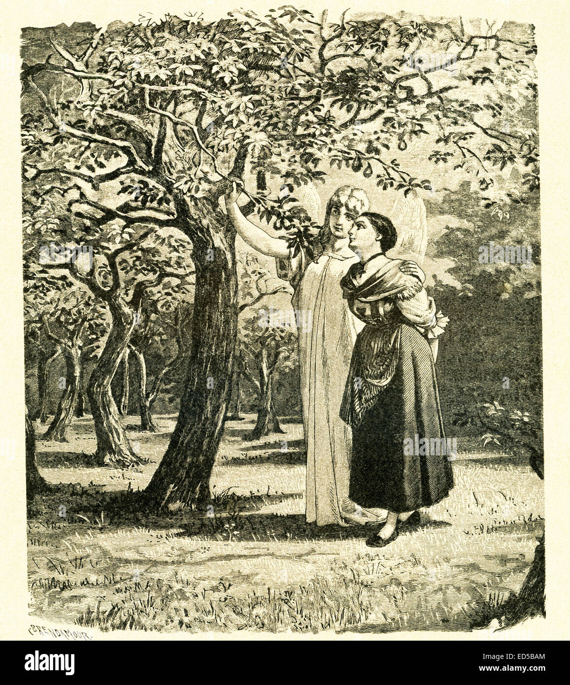 Im Jahre 1812 veröffentlicht Gebrüder Grimm, Jacob und Wilhelm, Kinder- und Hausmärchen, eine Sammlung Deutsche Märchen. Diese Illustration begleitet die Geschichte mit dem Titel "Das Mädchen ohne Hände" und zeigt das Mädchen mit dem Engel half ihr, die Birnen im königlichen Garten zu essen, weil sie ihr verloren hatte, die infolge der Teufel und der Pakt er Hände mit ihrem Vater gemacht hatte - sie hatte beschlossen, um das Leben ihres Vaters Willen aber war sie noch so rein, dass der Teufel sie nicht bekommen. Dieses Bild ist aus Grimms Eventyr (Grimms Märchen) von Carl Ewald, im Jahr 1922 veröffentlicht. Das Titelbild ist der il Stockfoto