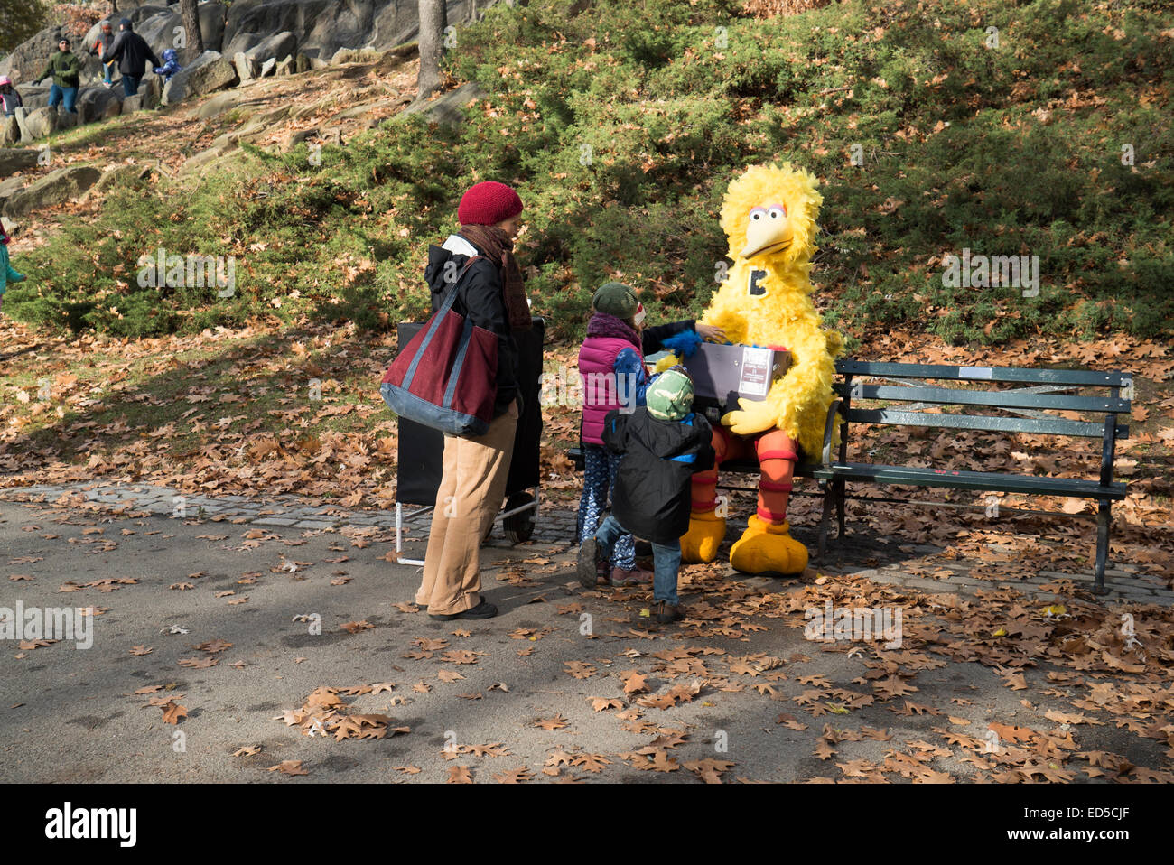 Kinder finden große Vogel sitzt auf einer Bank im Central Park in New York City. Aber um mit ihm zu reden kostet $5.00 Stockfoto