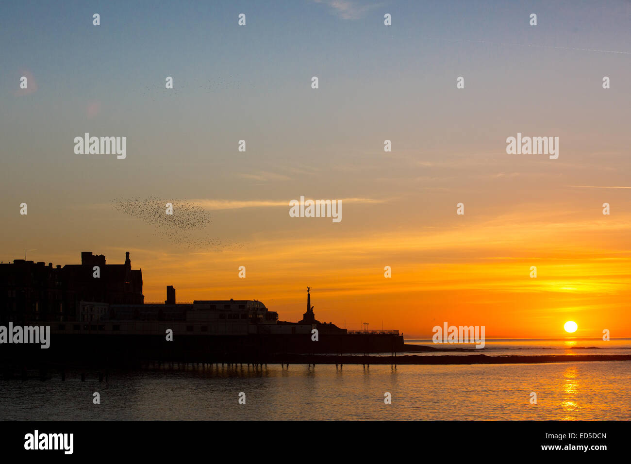 Aberystwyth, Wales, UK. 28. Dezember 2014.  UK-Wetter: Am Ende von einem knackigen, sonnig, warm nach Weihnachten Wintertag, die Sonne über Aberystwyth, wie eine Herde von Staren in zum Schlafplatz fliegt. Bildnachweis: Alan Hale/Alamy Live-Nachrichten Stockfoto