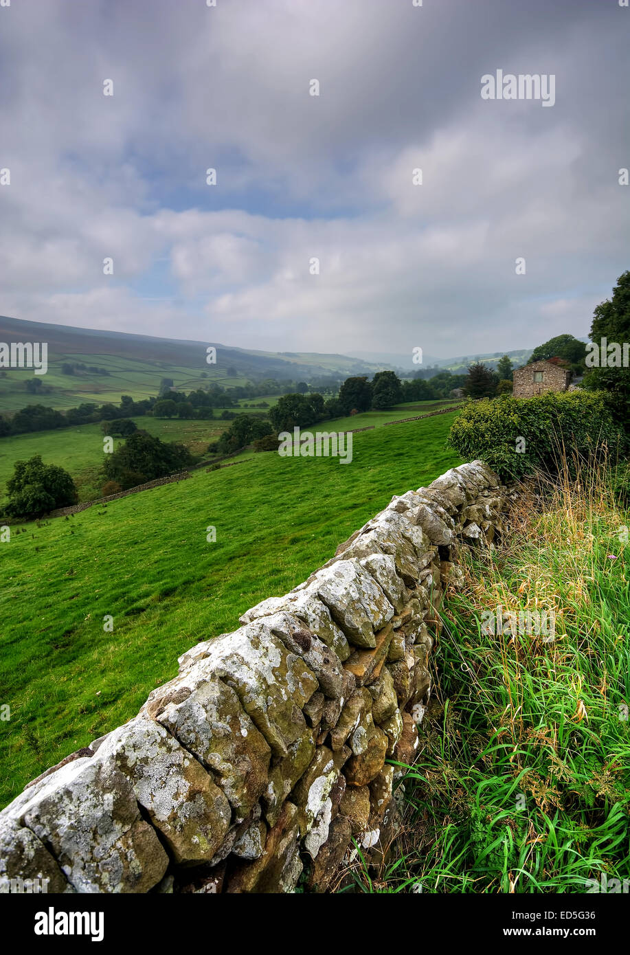 Der Blick nach unten Swaledale in Yorkshire Dales National Park, North Yorkshire in Richtung Healaugh. Swaledale Leinwand. Swale Stockfoto