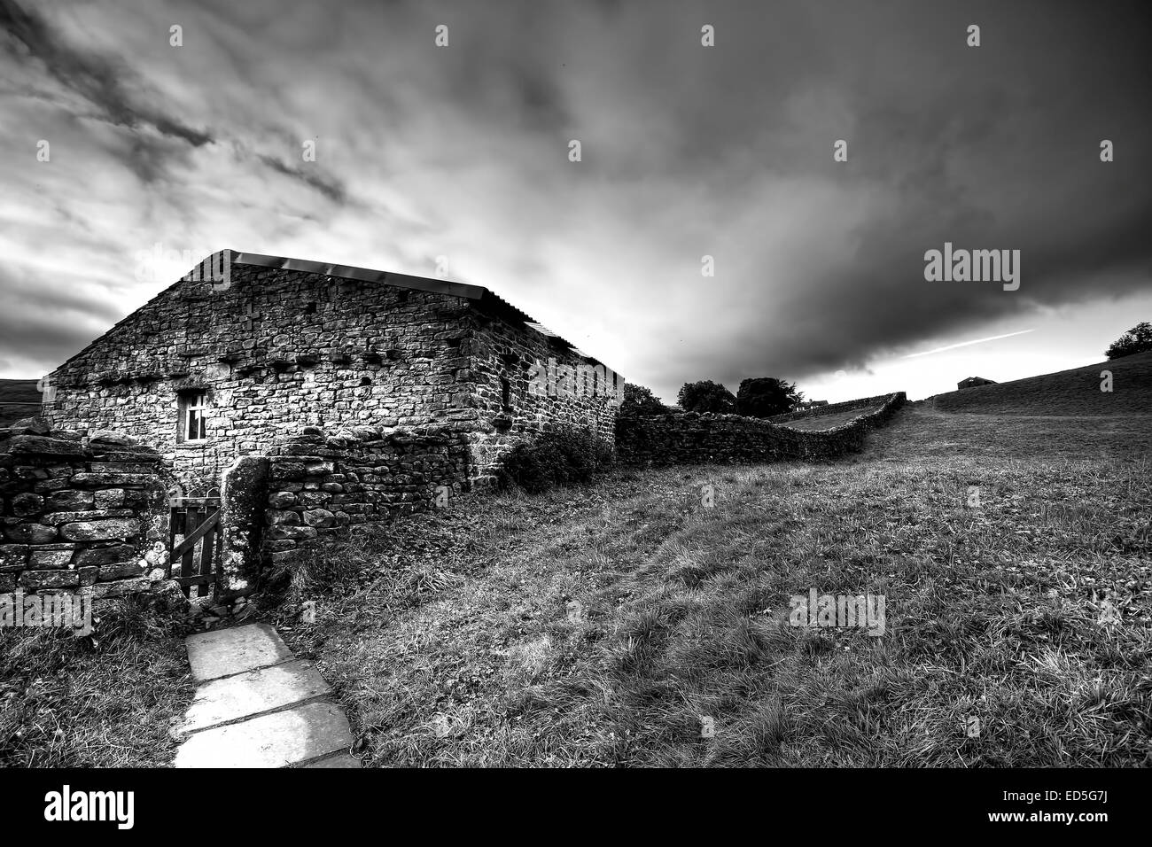 Eine Swaledale Scheune gesehen bei Muker in der Yorkshire Dales National Park, North Yorkshire. Stockfoto