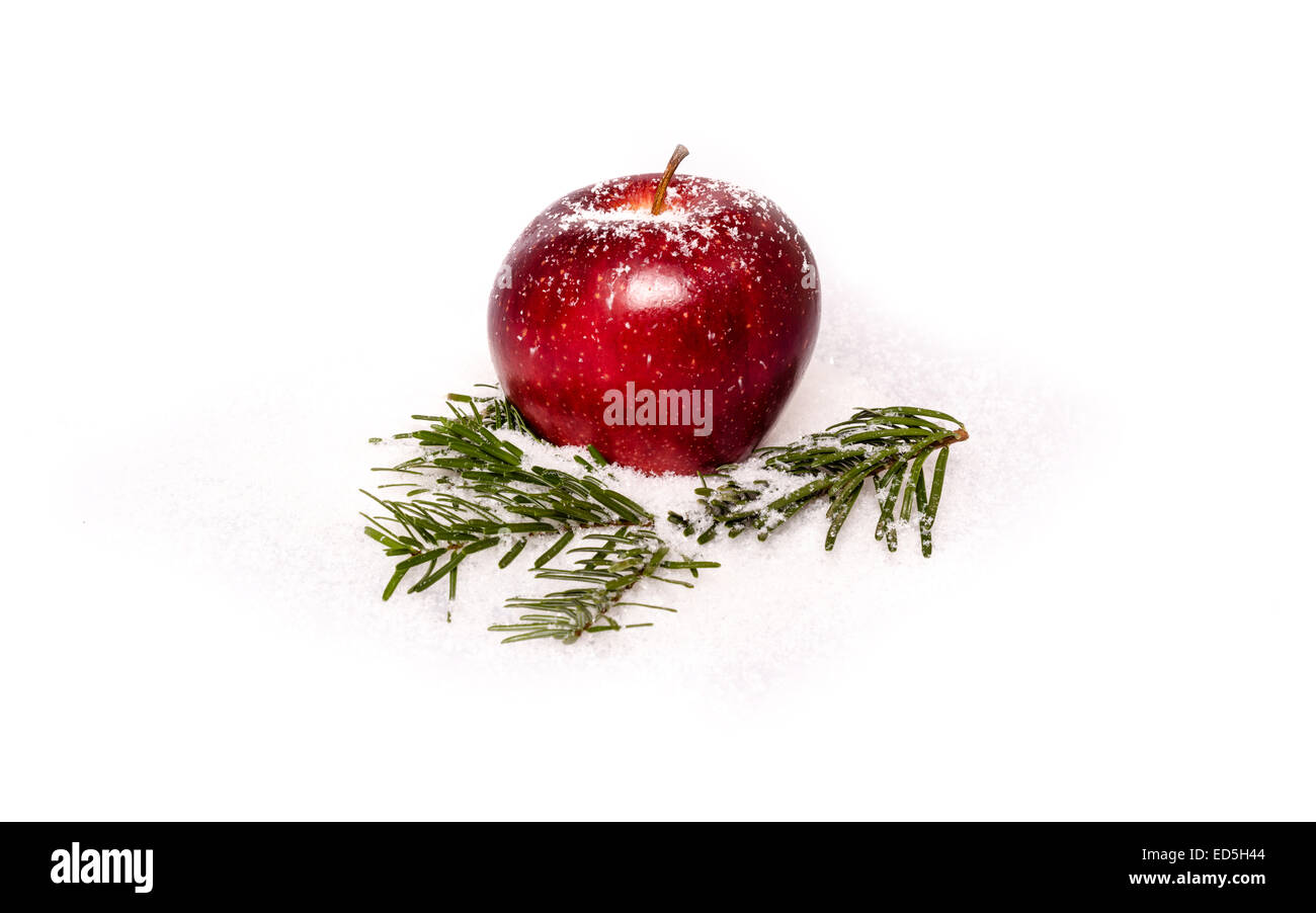 Roter Apfel mit Tannenzweigen im Schnee Stockfoto