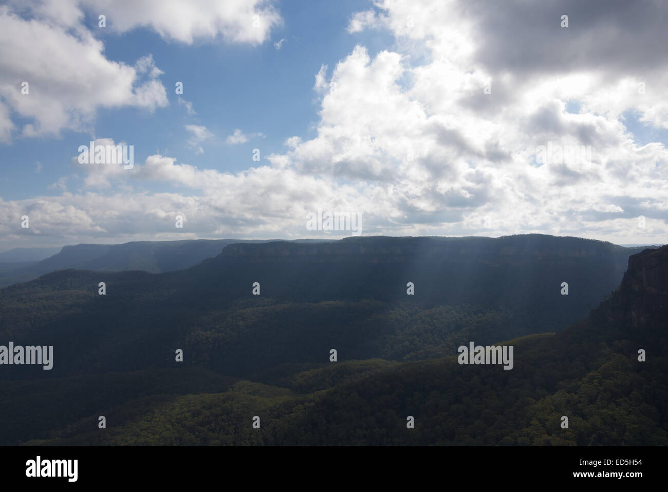 Späten Nachmittag Sonne auf der Blue Mountains in New South Wales, Australien Stockfoto