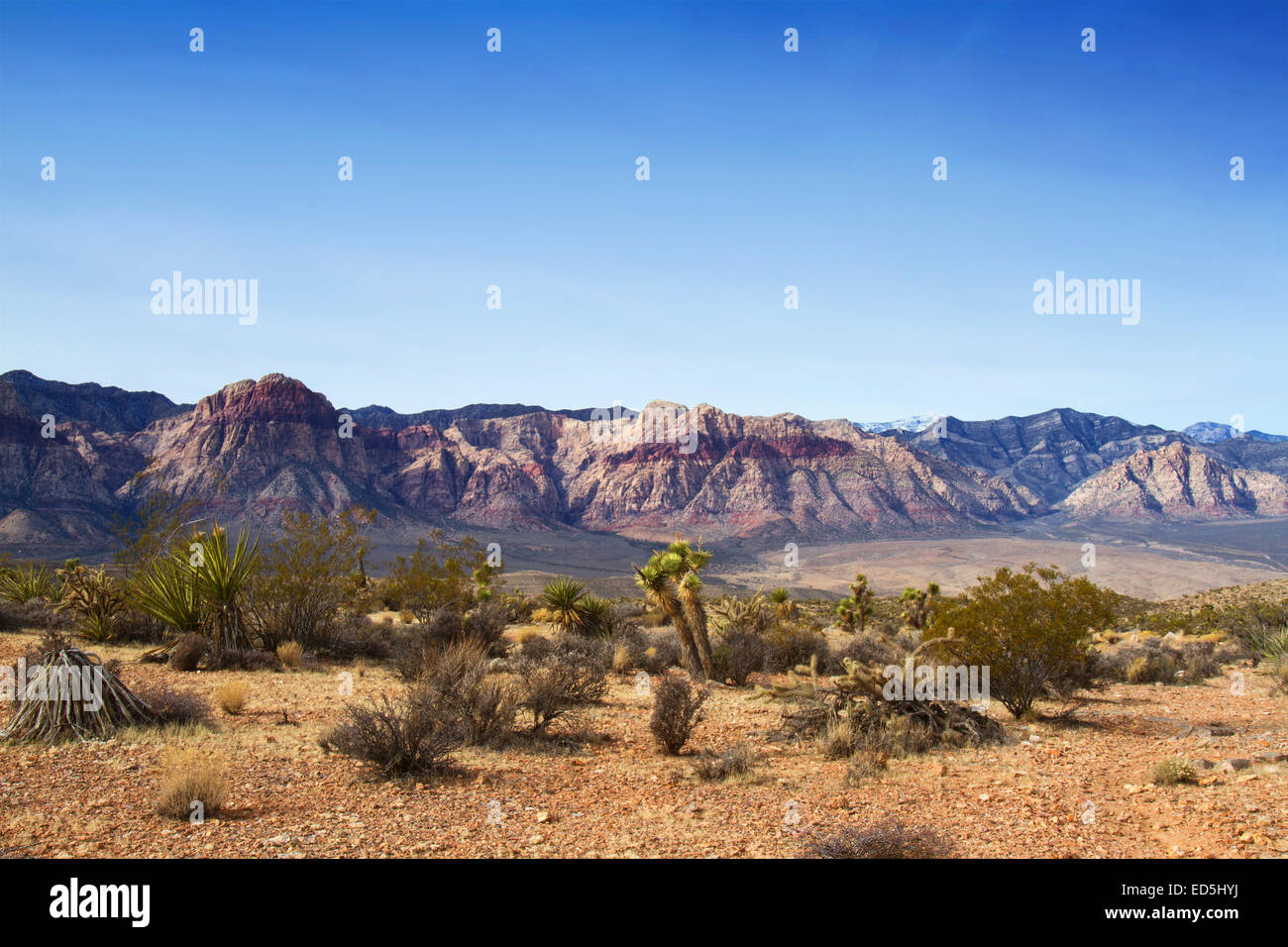 Wüstenlandschaft im Red Rocks Canyon Park in der Nähe von Las Vegas, Nevada Stockfoto