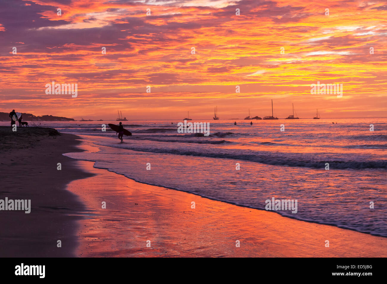 Ein Surfer am Ufer Silhouette gegen eine glänzend farbigen Sonnenuntergang am Playa Tamarindo, Guanacaste, Costa Rica Stockfoto