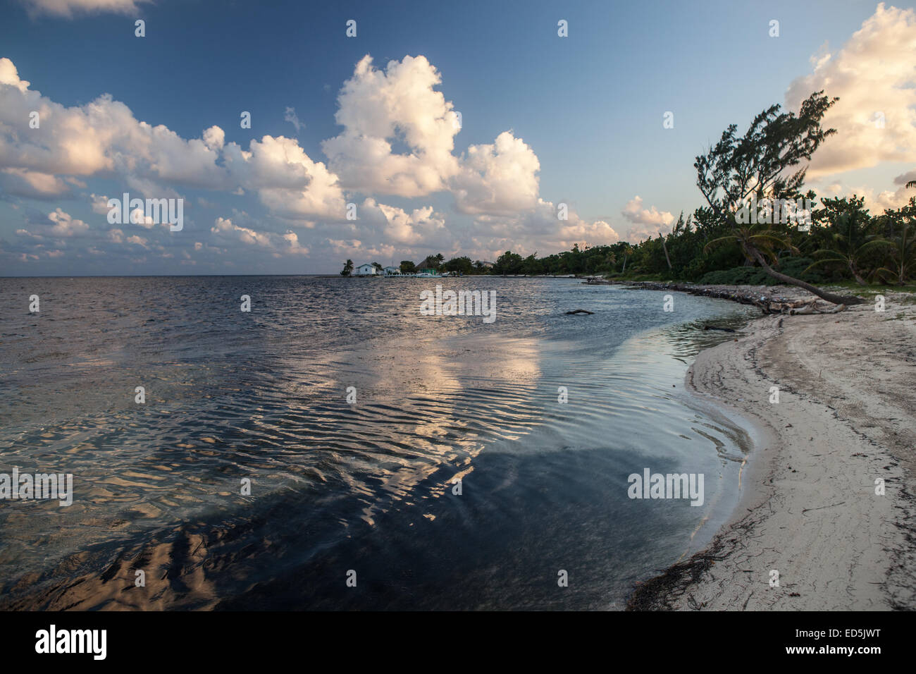Das Karibische Meer wäscht gegen einen schönen tropischen Strand auf Turneffe Atoll vor der Küste von Belize. Stockfoto