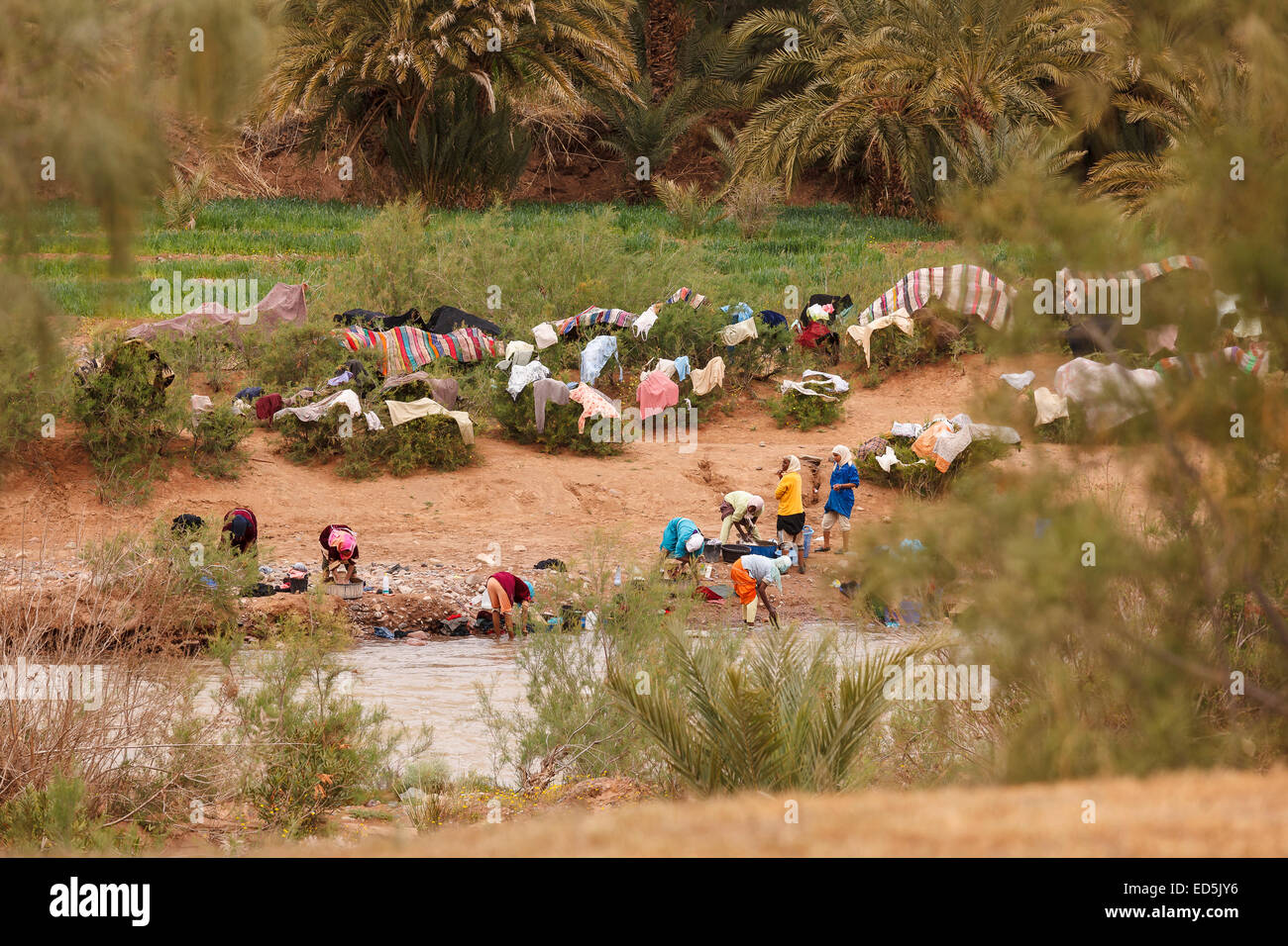 Frau Waschen von Kleidung. In der Nähe von Zagora. Draa-Tal. Marokko. Nordafrika. Afrika Stockfoto