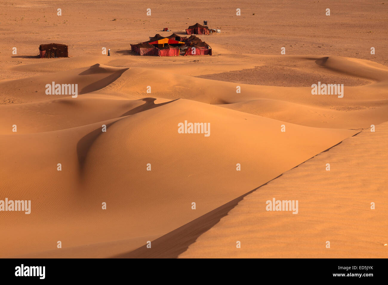 Dünen von Tinfou. Draa-Tal. Marokko. Nordafrika. Afrika Stockfoto