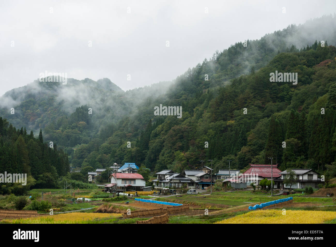 Ein abgelegenes Dorf in der Präfektur Nagano, Japan, während der Erntezeit Reis. Stockfoto