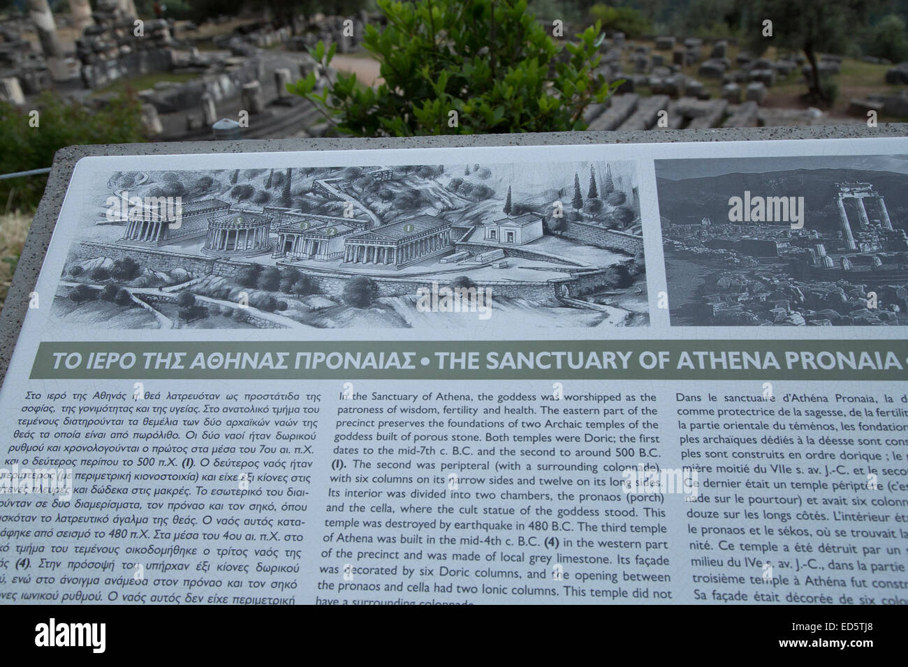 Die Tholos Athena Pronoia Sanctuary in Delphi archäologische Stätte, Griechenland Stockfoto