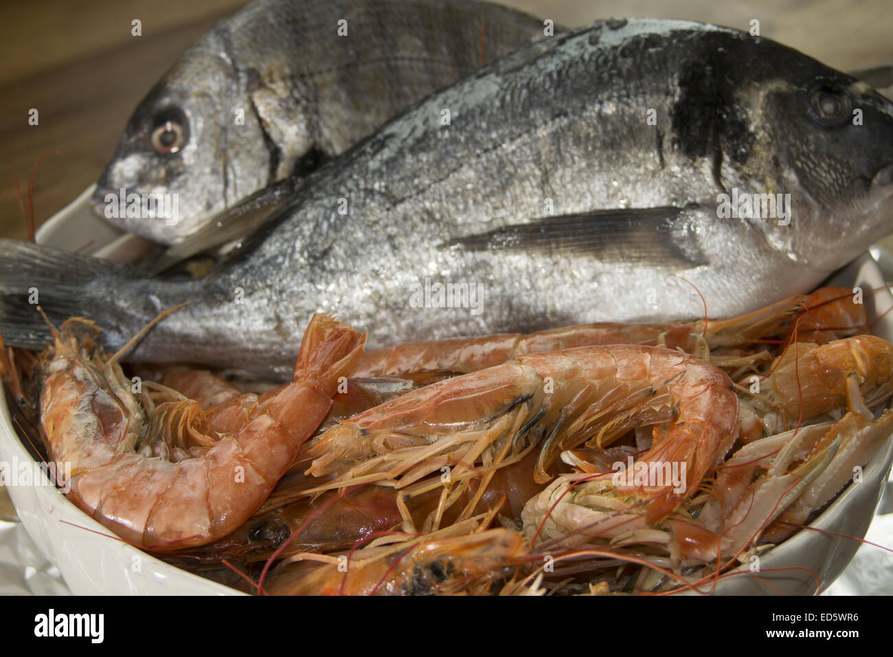 typische und traditionelle mediterrane Fisch: Langusten, Garnelen und Brassen Stockfoto