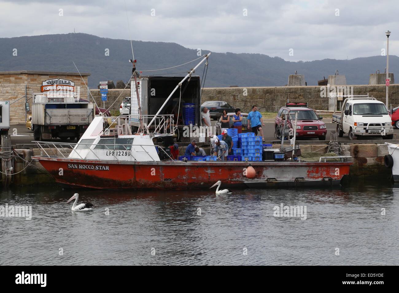 Fischer bei der Arbeit im Hafen von Wollongong. Stockfoto